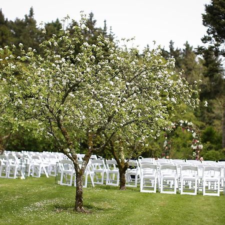 Rathsallagh Country House Hotel Luaran gambar